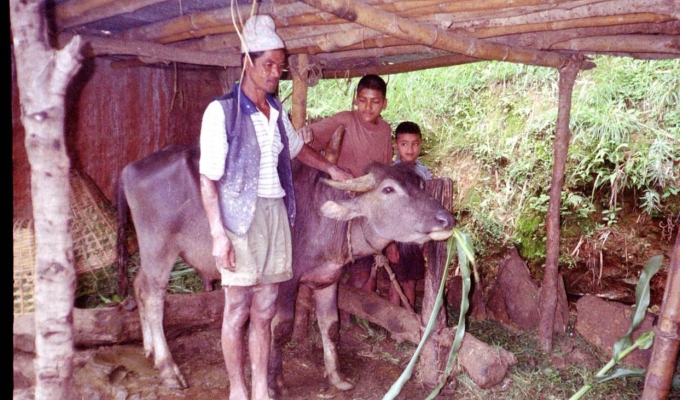 nepal_animal4