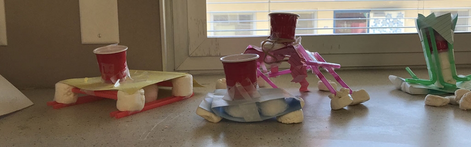 STEM Project