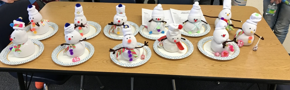 STEM Project